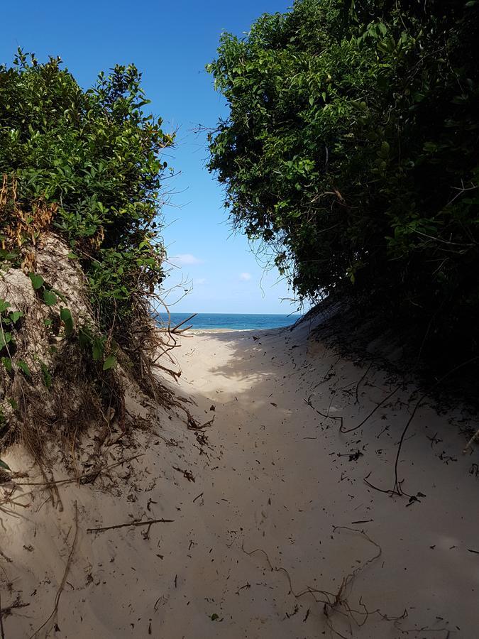 Pico Da Cruz Hostel Florianópolis Dış mekan fotoğraf