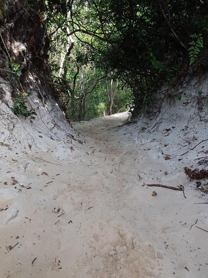 Pico Da Cruz Hostel Florianópolis Dış mekan fotoğraf